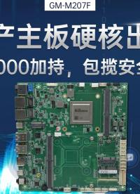 国产主板硬核出击：飞腾D2000加持，包揽安全与性能#工控主板 #国产主板 #飞腾主板 