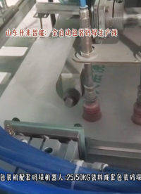 氧化铝全自动包装机+自动码垛机器人  成套全自动包装码垛方案# 全自动包装码垛系统