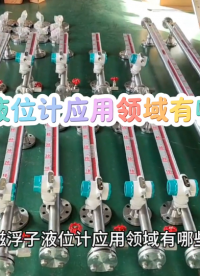 磁浮子液位计应用领域有哪些
