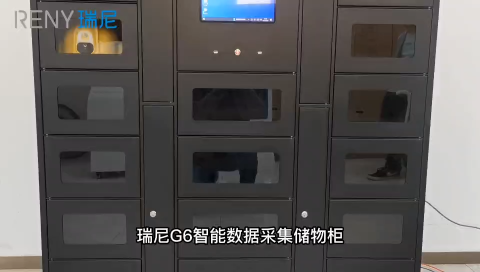 数据采集柜充电柜一体柜，人脸识别，指纹识别，智能管理，厂家定制# #人工智能 
