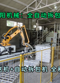 25kg氯化钾自动拆包机器人 山东粉体全自动拆包机械手