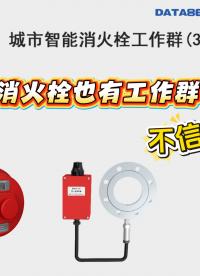 平升市政消防栓智能監(jiān)測終端，24小時自動報警#市政消防栓智能監(jiān)測終端 #消防栓悶蓋 #智能消火栓壓力監(jiān)測終端 
