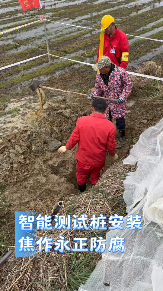 陰極保護(hù)測(cè)試樁不銹鋼/玻璃鋼/水泥測(cè)試樁犧牲陽極電位電流檢測(cè)樁
北斗智能測(cè)試樁 管道陰極保護(hù)監(jiān)測(cè)管理 無人值守