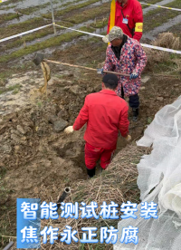 陰極保護(hù)測(cè)試樁不銹鋼/玻璃鋼/水泥測(cè)試樁犧牲陽(yáng)極電位電流檢測(cè)樁
北斗智能測(cè)試樁 管道陰極保護(hù)監(jiān)測(cè)管理 無(wú)人值守