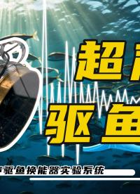 功率放大器驅(qū)動超聲驅(qū)魚換能器，實(shí)驗(yàn)效果杠杠的！實(shí)驗(yàn)系統(tǒng)分享#電路知識 #硬核拆解 #功率放大器 