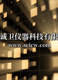 誠(chéng)衛(wèi) CW-Z226 麻醉儲(chǔ)氣囊綜合性測(cè)試儀 YY/T 0978-2016 滿足標(biāo)準(zhǔn)