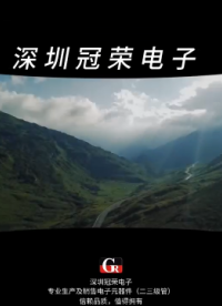 2EZ11D5，電子電路穩(wěn)壓分流元件# 