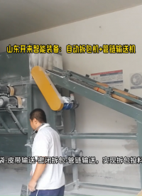 湖南客戶現(xiàn)場樹脂粉自動破包設(shè)備 配套管鏈式提升機給料倉供料# 