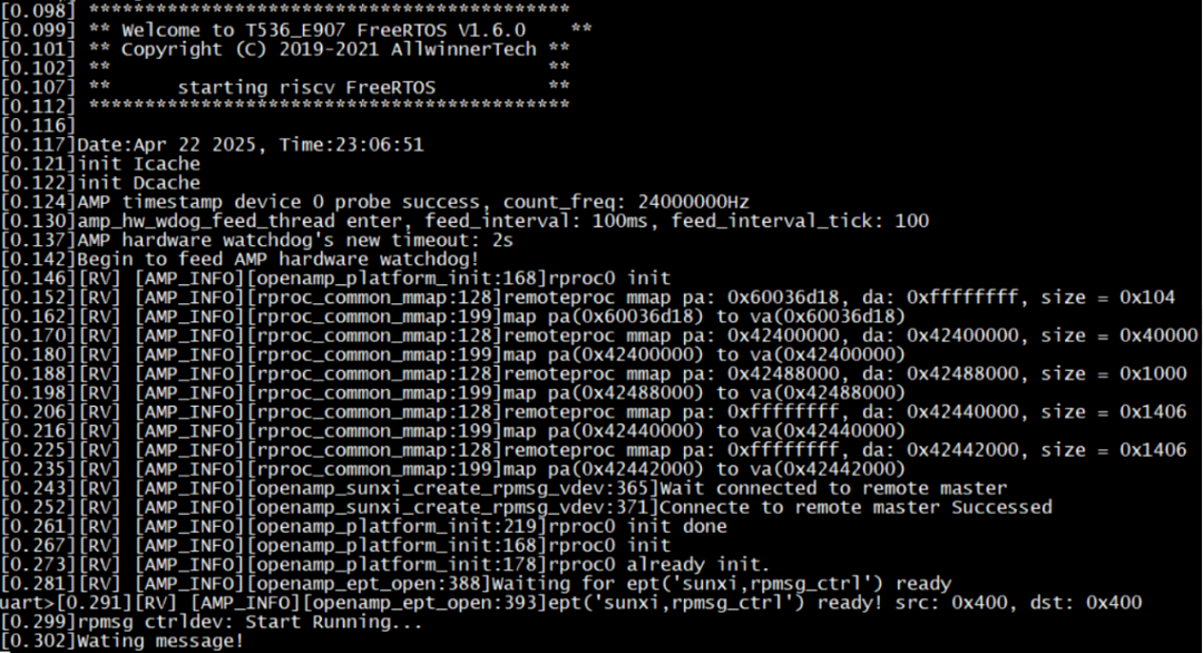 RISC-V