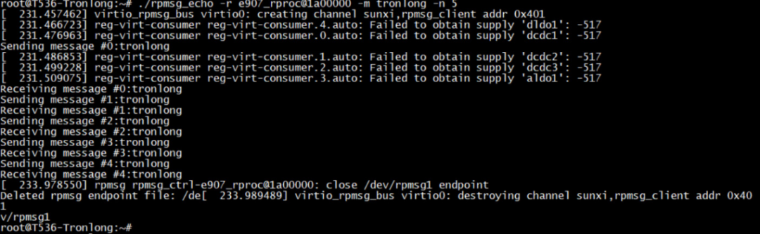RISC-V