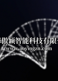 傲穎AY-A55-超聲潔牙機振幅測試工裝-YY/T 0751-2009-產(chǎn)品介紹