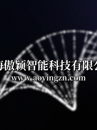 测试仪
