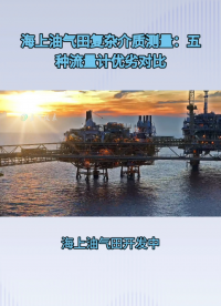 海上油气田复杂介质测量：五种流量计优劣对比#农业物联网 #专科生 #plc教学 #警车灯电路 #溶氧仪校准 