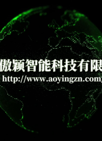 傲颖 AY-Z273-热敷贴温度特性测试仪（2工位4个样品）YY0060-2018-简单好用