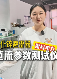 雷科电力氧化锌避雷器直流参数测试仪：全自动精准测量，电力施工现场、变电站年检必备，操作简单，数据可存可打印！