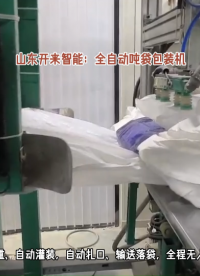 碳铵全自动吨袋包装机 定量吨袋自动包装机 自动扎口包装#全自动吨袋包装机 