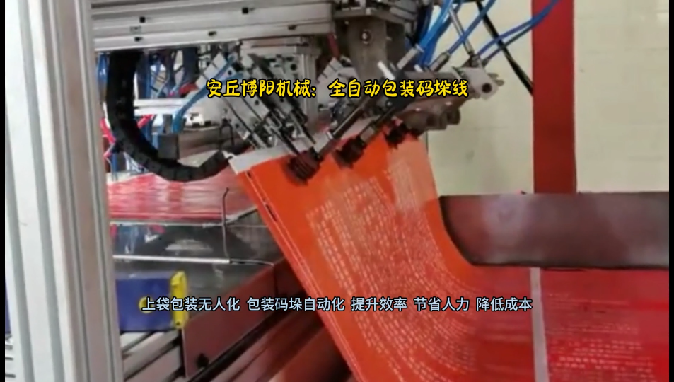 50KG有機(jī)肥全自動包裝碼垛機(jī)  給袋式自動包裝機(jī)配套高位碼垛機(jī)生產(chǎn)線 #全自動包裝機(jī)廠家 