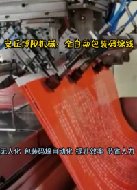 50KG有机肥全自动包装码垛机  给袋式自动包装机配套高位码垛机生产线 #全自动包装机厂家 