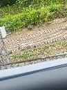 德?？萍茧p軌道自動(dòng)<b class='flag-5'>雷達(dá)</b><b class='flag-5'>波</b><b class='flag-5'>測(cè)流</b><b class='flag-5'>系統(tǒng)</b>安裝方式