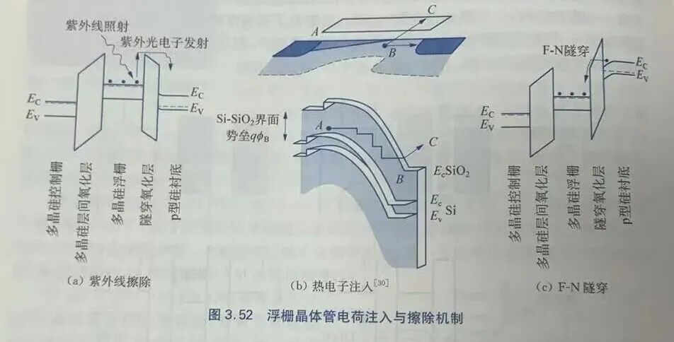 060ee426-4aad-11f1-90a1-92fbcf53809c.jpg