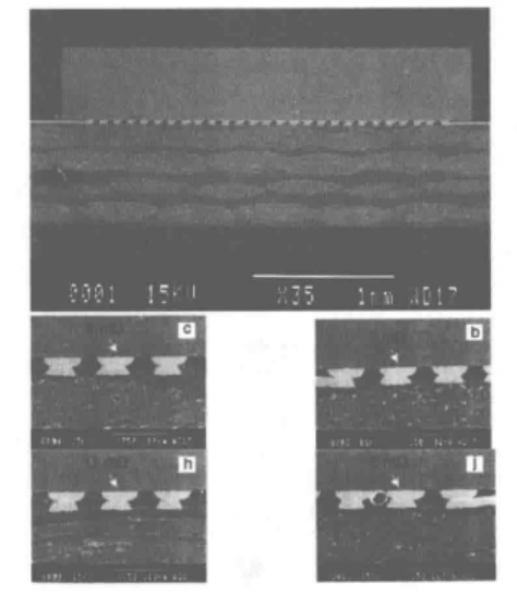 f4c505c2-4b8f-11f1-90a1-92fbcf53809c.png