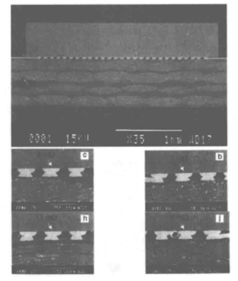 1aa84432-4d22-11f1-90a1-92fbcf53809c.png