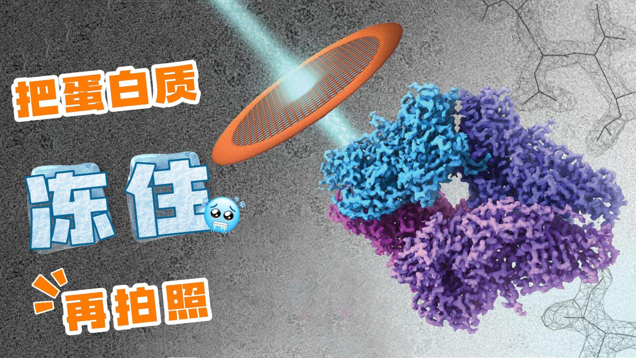 肉眼凡胎看不清？冷凍電鏡用“壓電”給蛋白質拍4K高清大片#物鏡定位器 #冷凍電鏡 #Cryo-EM 