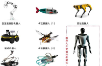 2026年具身智能產(chǎn)業(yè)全景深度解讀
