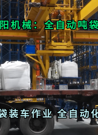 双酚A全自动吨袋装车机 粉体吨袋全自动装车设备