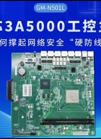龙芯3A5000工控主板，如何撑起网络硬防线