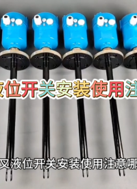 音叉液位开关安装使用注意哪些