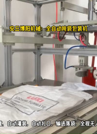 硅酸盐全自动吨袋包装系统 自动给袋吨袋包装系统# 全自动吨袋包装机# 连续吨袋包装机