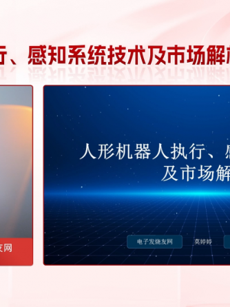 人形机器人,洞见分析,经验分享