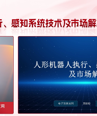 人形机器人,洞见分析,经验分享
