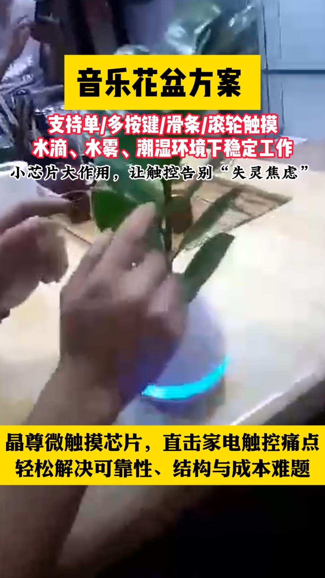 触摸芯片之音乐花盆方案 #硬核拆解 #工作原理大揭秘 #硬件 #芯片 #造物大赏 #电子元器件 