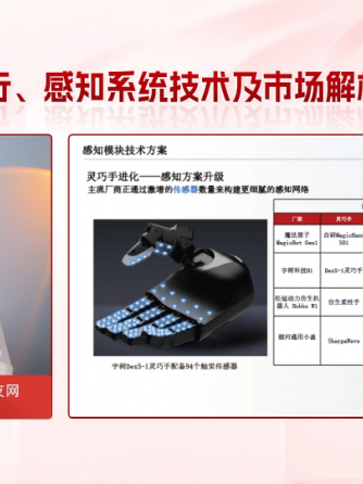 人形机器人,洞见分析,经验分享