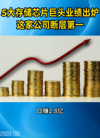 5大存储芯片巨头业绩出炉，这家公司断层第一！#存储芯片#DRAM#科创板IPO#AI大模型
 
