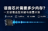 语音芯片需要多少<b class='flag-5'>内存</b>？<b class='flag-5'>一</b><b class='flag-5'>文</b>读懂选型关键与容量计算