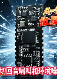 A-59F AI 神经网络 ENC 降噪模块｜单麦全场景降噪｜回音消除｜车载 / 会议 / 耳机 / 对讲专用