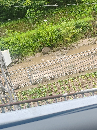 <b class='flag-5'>双轨</b>式缆道<b class='flag-5'>雷达</b><b class='flag-5'>波</b><b class='flag-5'>测流</b><b class='flag-5'>系统</b>市场前景分析