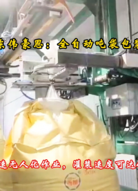 湖北吨包全自动包装装置 氧化锌全自动吨袋包装机流程
