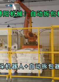 PC粉自动拆包机械手 全自动拆包机器人非标定制