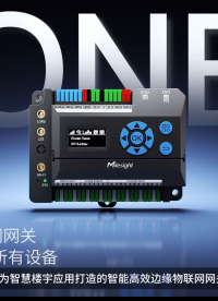 星纵物联 EG71楼宇物联网网关