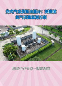 热式气体质量流量计：高精度氮气流量监测方案#农业物联网 #专科生 #plc教学 #警车灯电路 #溶氧仪校准 