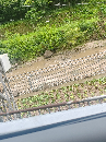 <b class='flag-5'>破解</b>水文监测四大<b class='flag-5'>痛</b>点：德希缆道雷达波测流系统解决方案