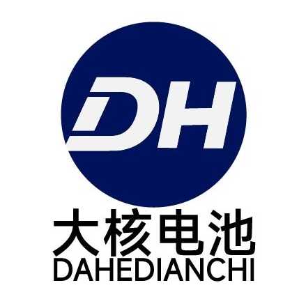 大核电池