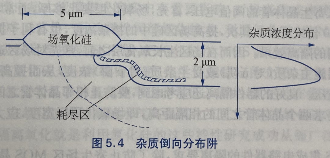 3411d452-596a-11f1-90a1-92fbcf53809c.png