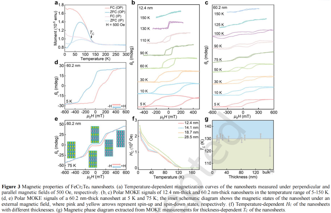 8758d862-5a74-11f1-90a1-92fbcf53809c.png