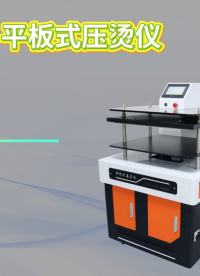 诚卫 CW-F804 平板式压烫仪 GB/T17031.2-1997 技术参数