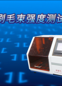 傲颖 AY-WS007-牙刷毛束强度测试仪GB19342-2024-稳定性好